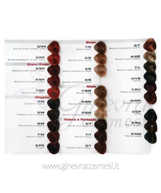 13288694_281349548865647_266079706_o